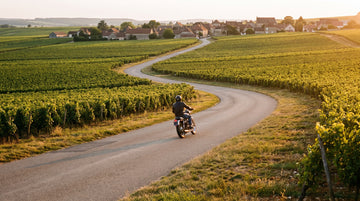 Balade à moto en Côte d'or au cœur des vignobles de Bourgogne